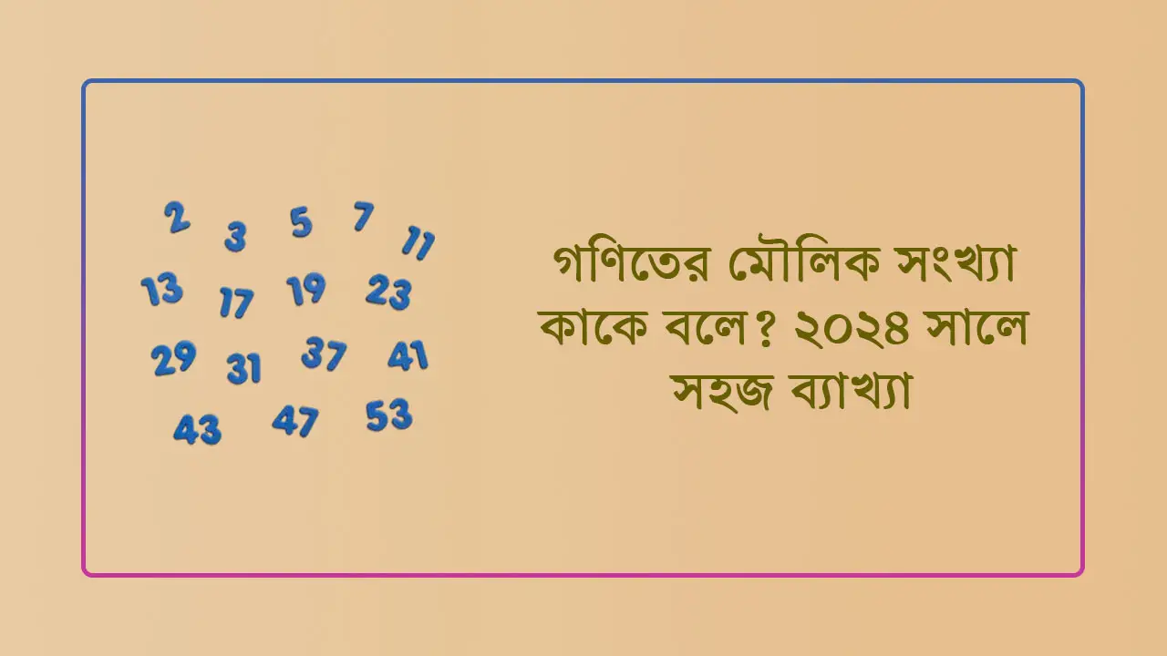 মৌলিক সংখ্যা কাকে বলে